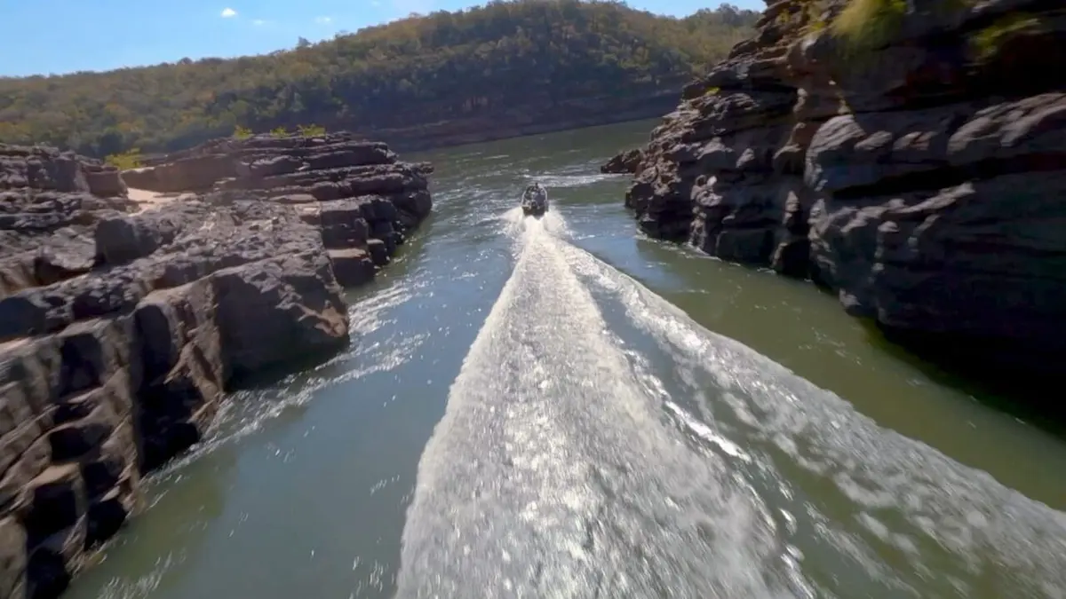 Brésil, sur la piste des jaguars Le corridor de la biodiversité