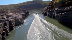 Brésil, sur la piste des jaguars Le corridor de la biodiversité
