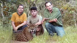 Brésil, sur la piste des jaguars