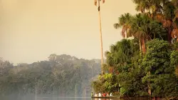 Brésil, terre d'eau