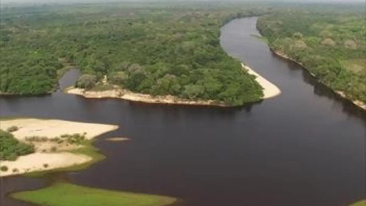 Brésil : Terre de Richesses E06 Les singes d'Amazonie