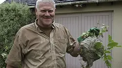 Visuel de Brigade anti-crasse