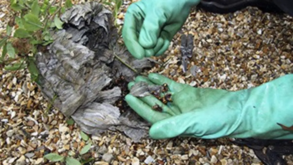 Brigade anti-crasse S02E06