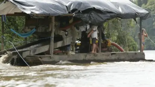 Brigade nature E03 Les Garimpeiros de l'Approuague