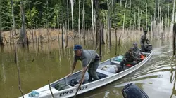 Visuel de Brigade nature