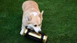 Brooklyn Nine-Nine S08E09 Dernier jour - 1re partie