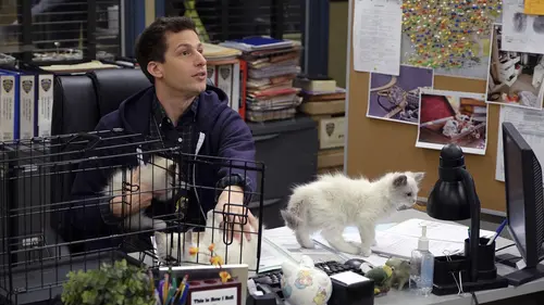 Brooklyn Nine-Nine S03E17 Adrian Pimento