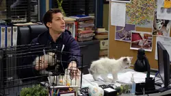 Brooklyn Nine-Nine S03E19 Les chatons de Terry
