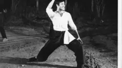 Bruce Lee, la légende du dragon