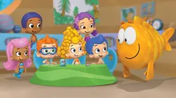 Bubulle Guppies