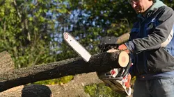 Bûcheron : un métier à hauts risques Déjouer les embûches