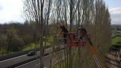 Bûcheron : un métier à hauts risques Chantiers d'exception