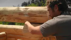 Bûcheron : un métier à hauts risques