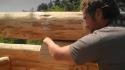 Bûcheron : un métier à hauts risques Chantiers risques face à la crise