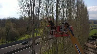 Bûcheron : un métier à hauts risques Chantiers d'exception