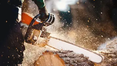 Bûcheron : un métier à hauts risques Chantiers XXL