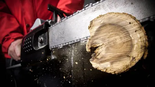 Bûcheronnage sportif : Champions Trophy