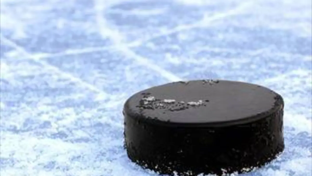 Buffalo Sabres / Anaheim Ducks Hockey sur glace NHL 2019/2020
