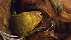 Buffy contre les vampires S06E10 Dépendance