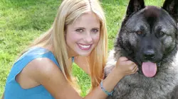 Buffy contre les vampires S04E10 Un silence de mort