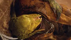 Buffy contre les vampires S06E02 Chaos