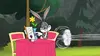 Bugs ! Une Production Looney Tunes
