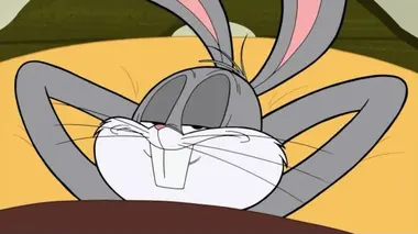 Bugs ! Une Production Looney Tunes S02E11 Daffy passager clandestin / Le scooter 3000