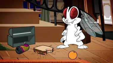 La mouche à fruits