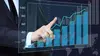 Burokratik : Le bitcoin