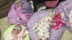 Busby Girls Restera, restera pas ?