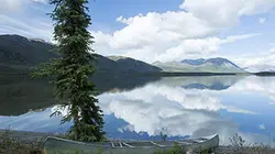 Visuel de Bush Alaska