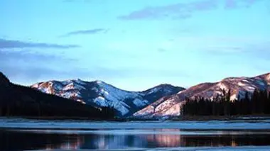 A l'école de survie