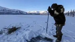 Visuel de Bush Alaska