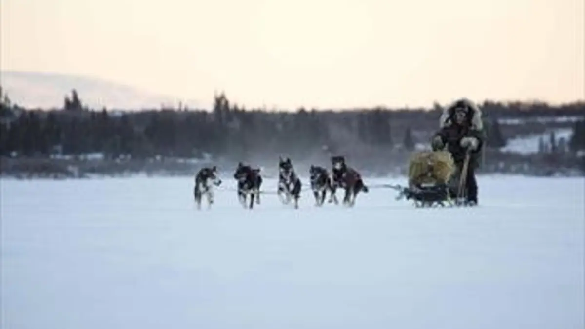 Bush Alaska : le dégel S05E05 Anticiper l'hiver