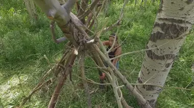 Bushcraft Masters Prendre de la hauteur