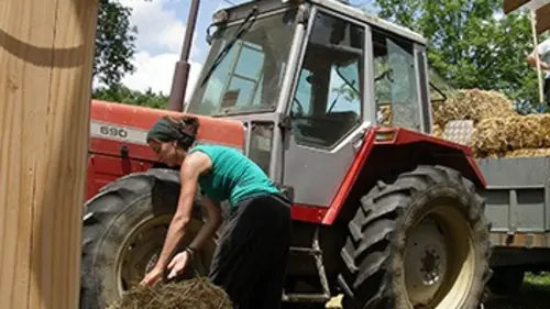 Bye bye la Suisse S05E06 Contre vents et marées