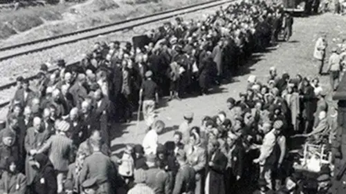 C'est à voir Auschwitz, la mémoire qui revient