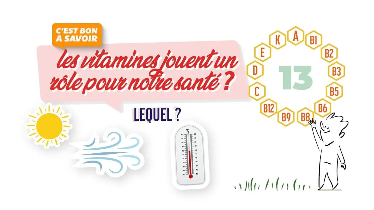 C'est bon à savoir Les vitamines jouent un rôle pour notre santé, lequel ?