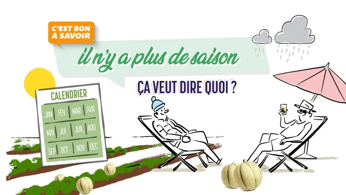 C'est bon à savoir Il n'y a plus de saison. Cela veut dire quoi ?