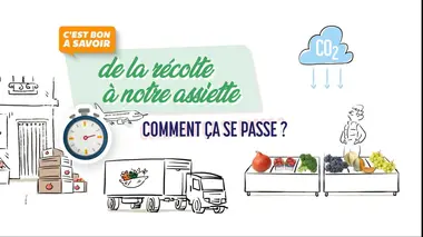 De la récolte à notre assiette, comment cela se passe ?