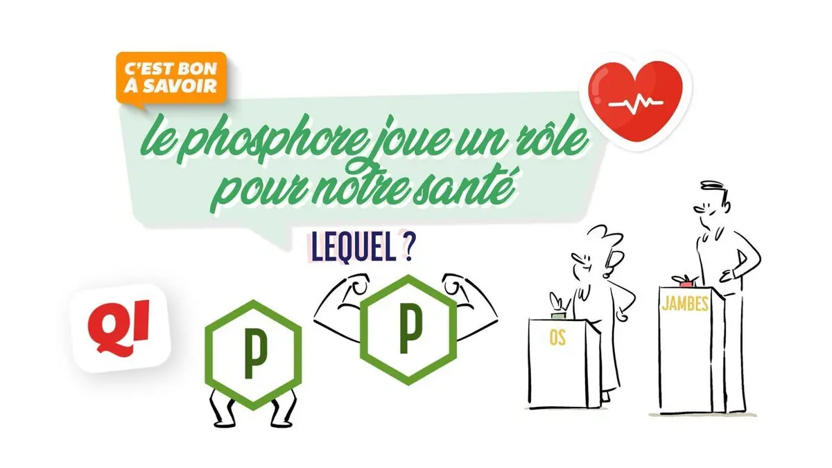 C'est bon à savoir Le phosphore joue un rôle pour notre santé. Lequel ?
