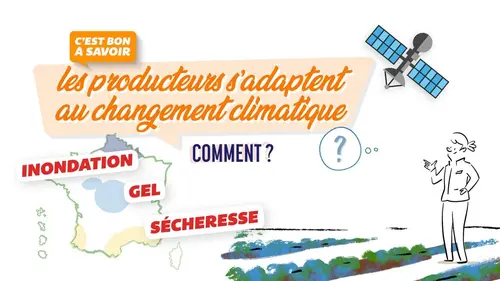 C'est bon à savoir Le changement climatique impacte les cultures. Comment ?