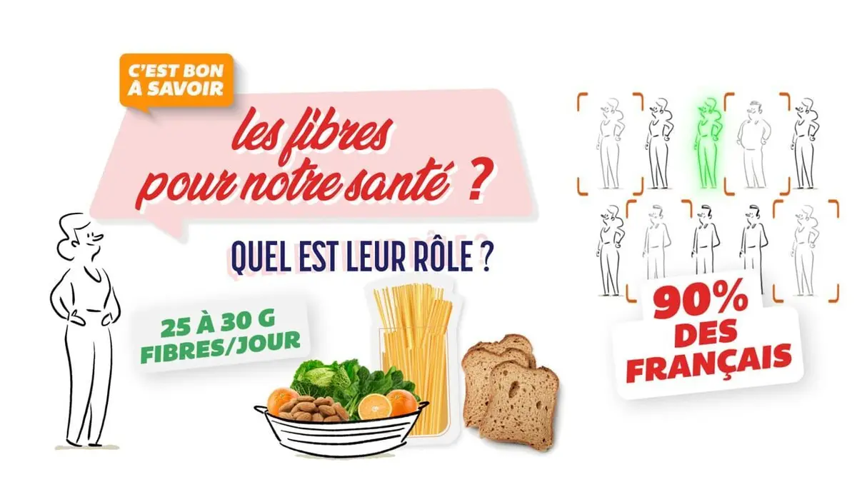C'est bon à savoir Les fibres : quel est le rôle pour notre santé ?