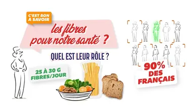 Les fibres : quel est le rôle pour notre santé ?