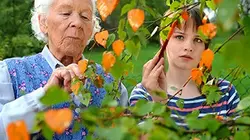 C'est pas moi, c'est mon tic