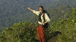 C'est pas sorcier Au coeur de la forêt tropicale