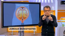 C'est pas sorcier Les mystères des jumeaux