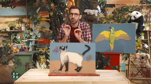 C'est toujours pas sorcier S08E04 Animaux : il ne leur manque que la ...