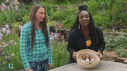 C'est toujours pas sorcier Les secrets des ovipares