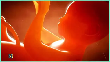 Reproduction : comment fait-on les bébés ?